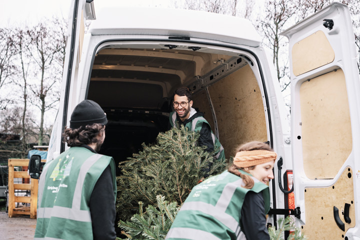 Xmas Tree Collection & Recycling.jpg
