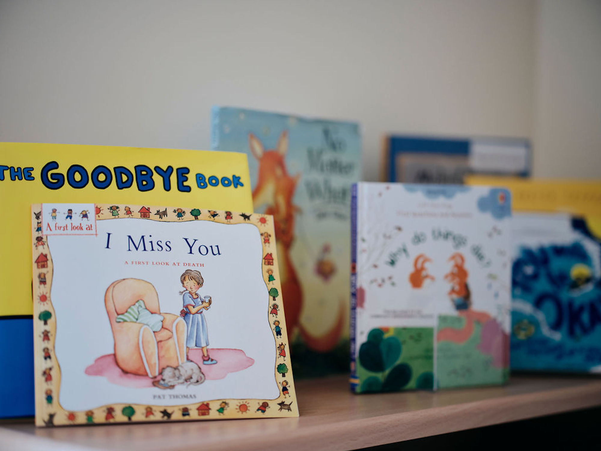 Image of children bereavement books 