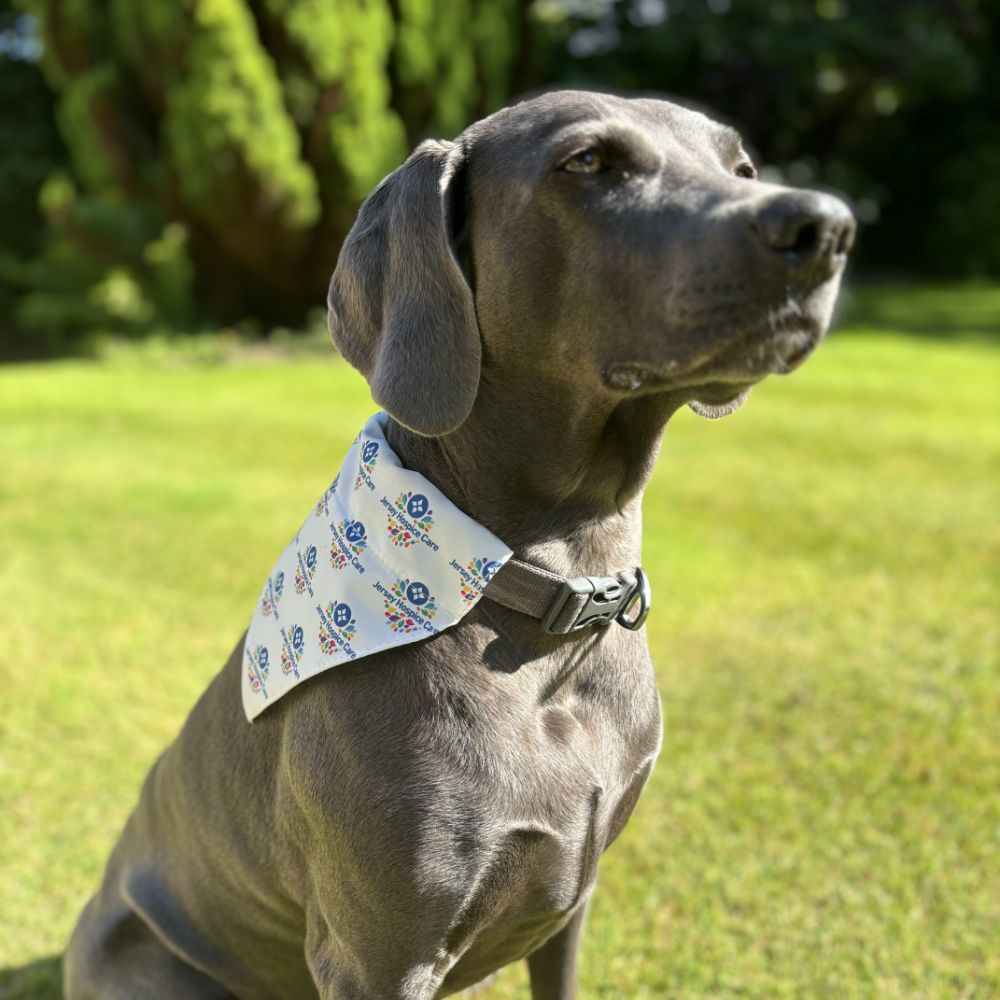 Dog Bandana