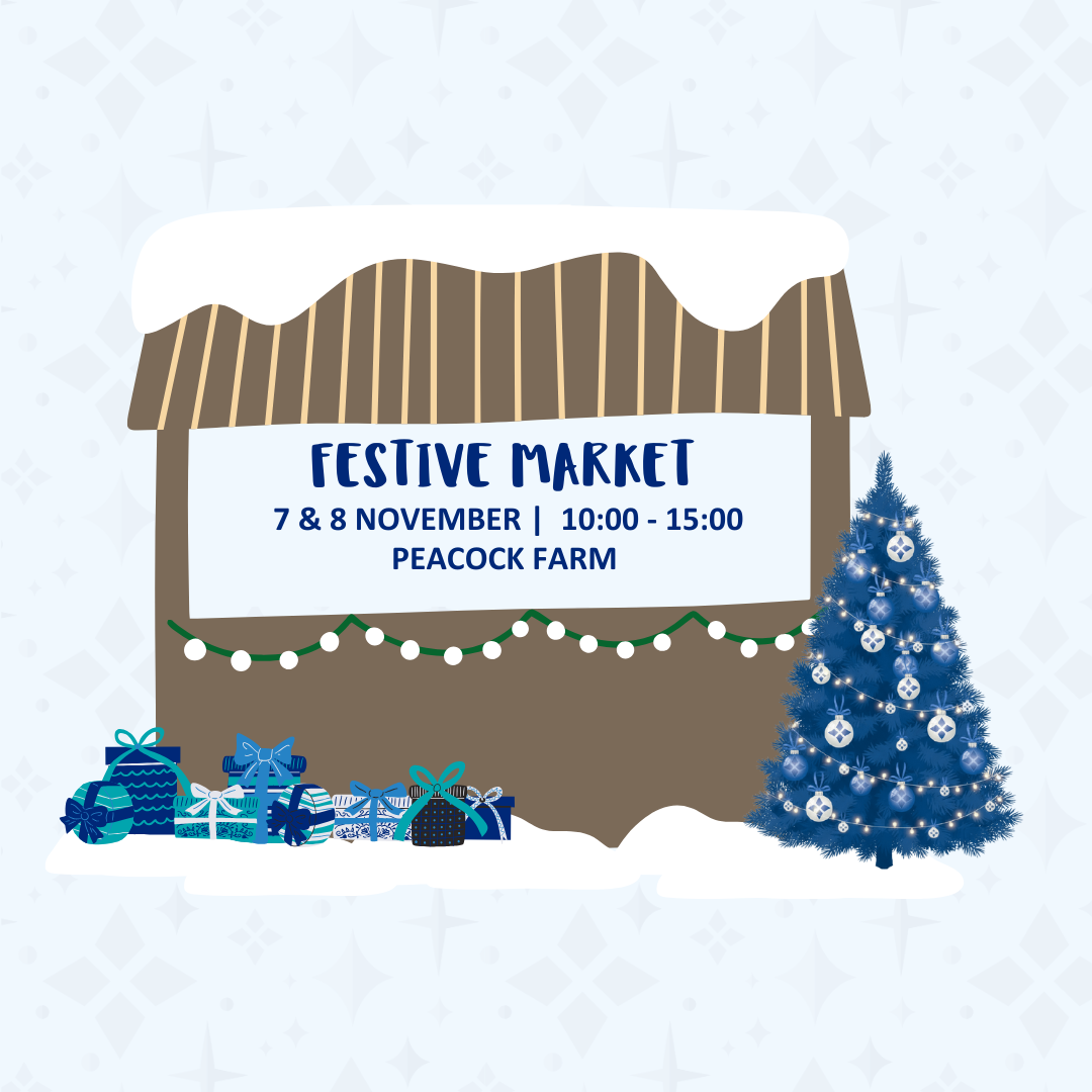 Festive Market (Instagram Post)