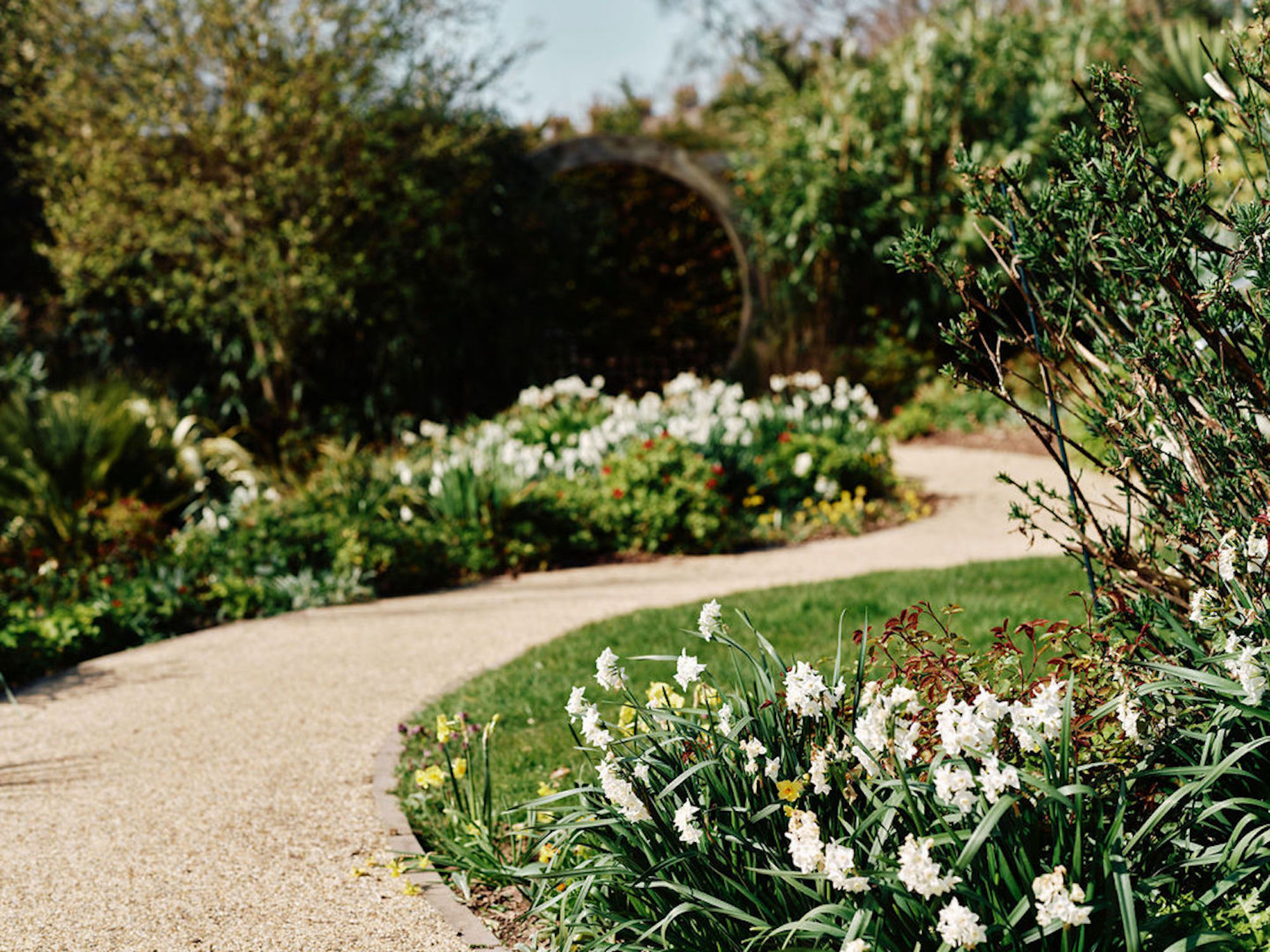 Image of Hospice Gardens with flowers and walkway