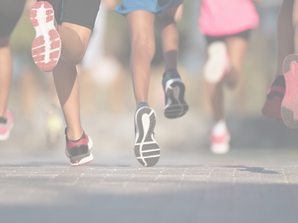 Email Newsletter Image Size (3)