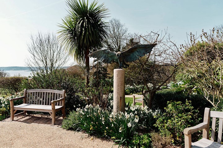 Image of Hospice gardens with bench and flowers