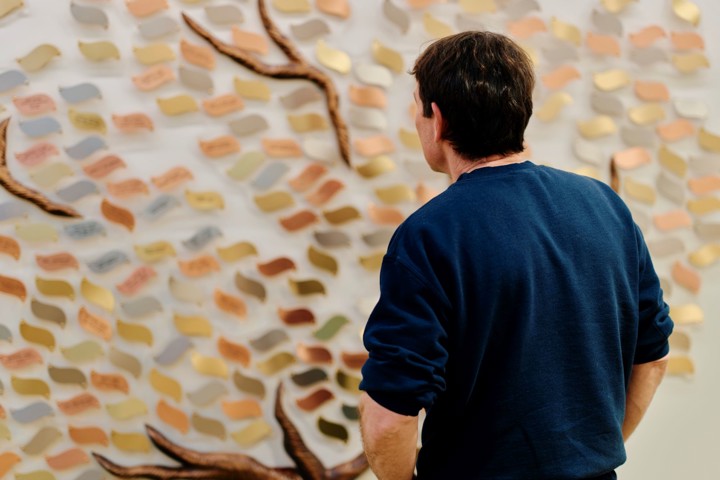 Image of man looking at the memory tree 